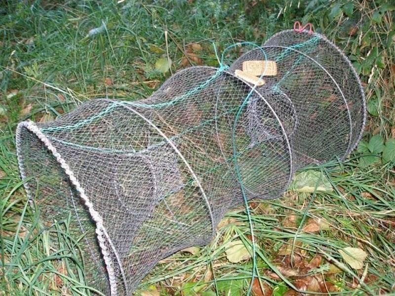 В Славянске-на-Кубани осудили браконьеров, промышлявших в заказнике с запретными вентерями
