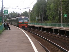 Четыре человека погибли под колесами поезда в Петербурге