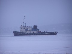 В Охотском море обледенело судно 