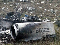 Разбившимся в Иране Ту-154 управлял российский пилот