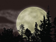 5 февраля жители Земли смогут увидеть самую яркую Луну в этом году