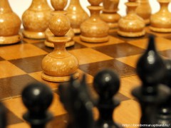 Сборная России стала победителем ЧЕ по шахматам среди ветеранов