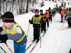 Завтра в Красноярском крае стартуют финальные соревнования «Школьная спортивная лига»
