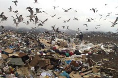 Прокуратура пожурила Темрюкскую администрацию за мусор и стихийные свалки