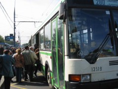 Около 100 бесплатных автобусов подвозили новороссийцев на избирательные участки