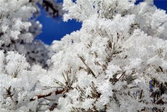 Сегодня на Кубани вновь возможен снег
