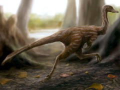 Останки динозавра-трясогузки нашли в Китае