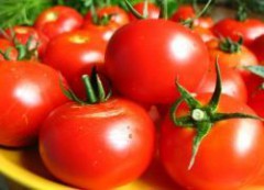 В Астраханской области откроют завод по переработке томатов и два современных овощехранилища