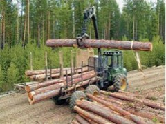 Дело о контрабанде леса в Китай будет рассмотрено судом Хабаровска