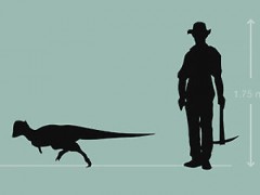 В Техасе нашли новый вид динозавров