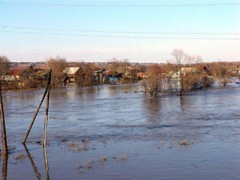 Паводком в Красноярском крае подтоплены жилые дома