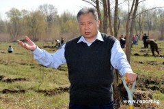 Предприятия семьи экс-президента Киргизии Бакиева будут национализированы