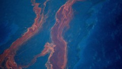 Ликвидировать последствия разлива нефти в Мексиканском заливе придется не менее 2 месяцев