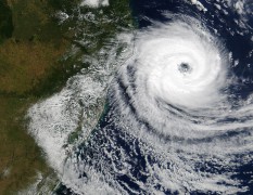 В Индии жертвами циклона 