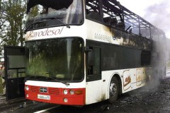 На трассе Краснодар-Анапа сгорел пассажирский автобус