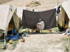 В Киргизию вернулись почти все беженцы