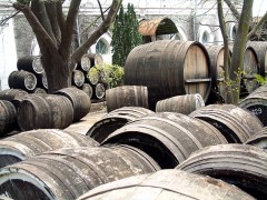 Роспотребнадзор считает, что власти Молдавии не способны обеспечить качество вина
