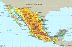 На юге Мексики произошло землетрясение мощностью 6,5 балла