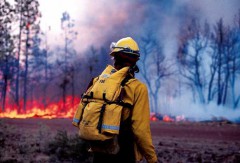 МЧС РФ призывает добровольцев к борьбе с лесными пожарами