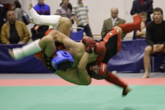 10 сентября в Анапе стартуют Открытые Всероссийские юношеские игры боевых искусств