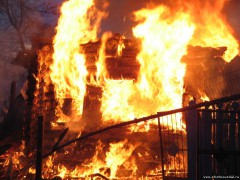 В Алтайском крае лесной пожар поглотил 20 жилых домов