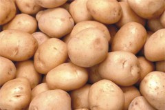 Минэкономразвития РФ намерено обнулить пошлины на импорт картофеля