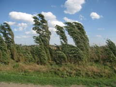 Сегодня в Краснодарском крае из-за сильного ветра возможны ЧС