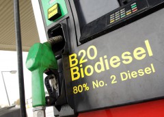 В Мексике заработал первый завод по производству биодизеля