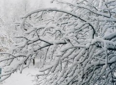 Мокрый снег и гололедица могут стать причиной ЧС на Кубани