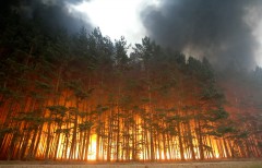В горах Азербайджана возле границы с РФ горят лесные массивы