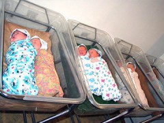 Следователи устанавливают причины смерти 8 новорожденных в Нальчике