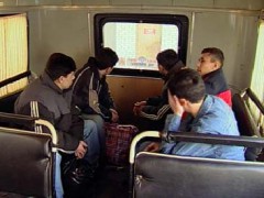 Нелегальные мигранты из Узбекистана депортированы на родину из Ставрополья