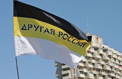 Активисты «Другой России» будут проводить митинги возле ЦИКа по вторникам