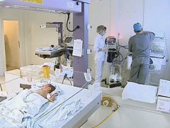 Эксгумация тел новорожденных, умерших в больнице Нальчика, проведена