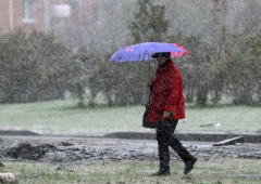 В Краснодарском крае в Международный женский день прогнозируют снег и небольшой мороз