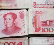 Страны БРИКС могут рассчитывать на кредиты в юанях