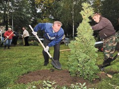 В Каменске-Шахтинском пройдет акция «Посади дерево»