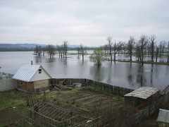 В Саратовской области в зоне паводка оказались больше сотни домов