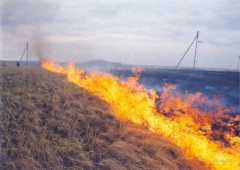 В Шахтах ужесточен контроль по недопущению выжигания сухой растительности