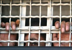 Более 1,5 тысяч палестинских заключенных в тюрьмах Израиля объявили голодовку