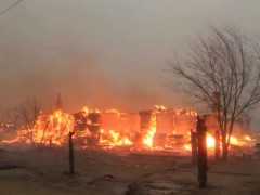 83 жилых дома сгорели в амурском поселке