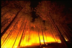 В Забайкалье лесной пожар приблизился на 5 км к райцентру