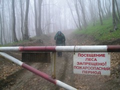 Доступ в леса Саратовской области ограничен