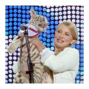 Тигрица Юлии Тимошенко родила альбиноса
