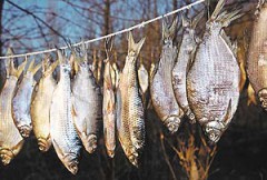 В Таганроге супружеская пара торговала опасной для здоровья рыбой