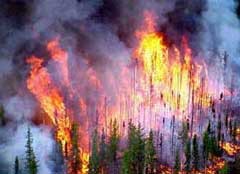 Лесной пожар в Испании бушует третьи сутки