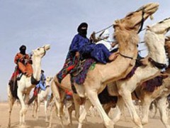 Туареги  и исламисты захватили власть в Мали