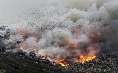 В Орле горит свалка, возможно задымление города