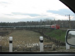 В Сибири локомотив наехал на сель: пришлось задержать два поезда