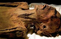 На федеральной трассе М4 «Дон» найдена мумия